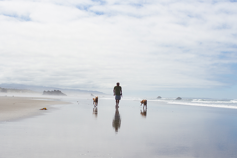 Beach-walk-with-dogs