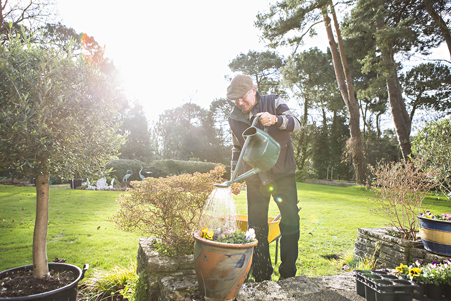 Man-watering-garden